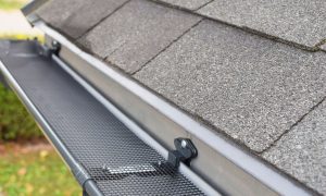 gutter cleaning