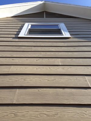 IMG 0056 2 - Kangaroo Contractors