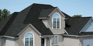 imgpsh fullsize anim 1 3 - Kangaroo Contractors