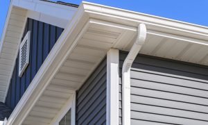 roof fascia repair
