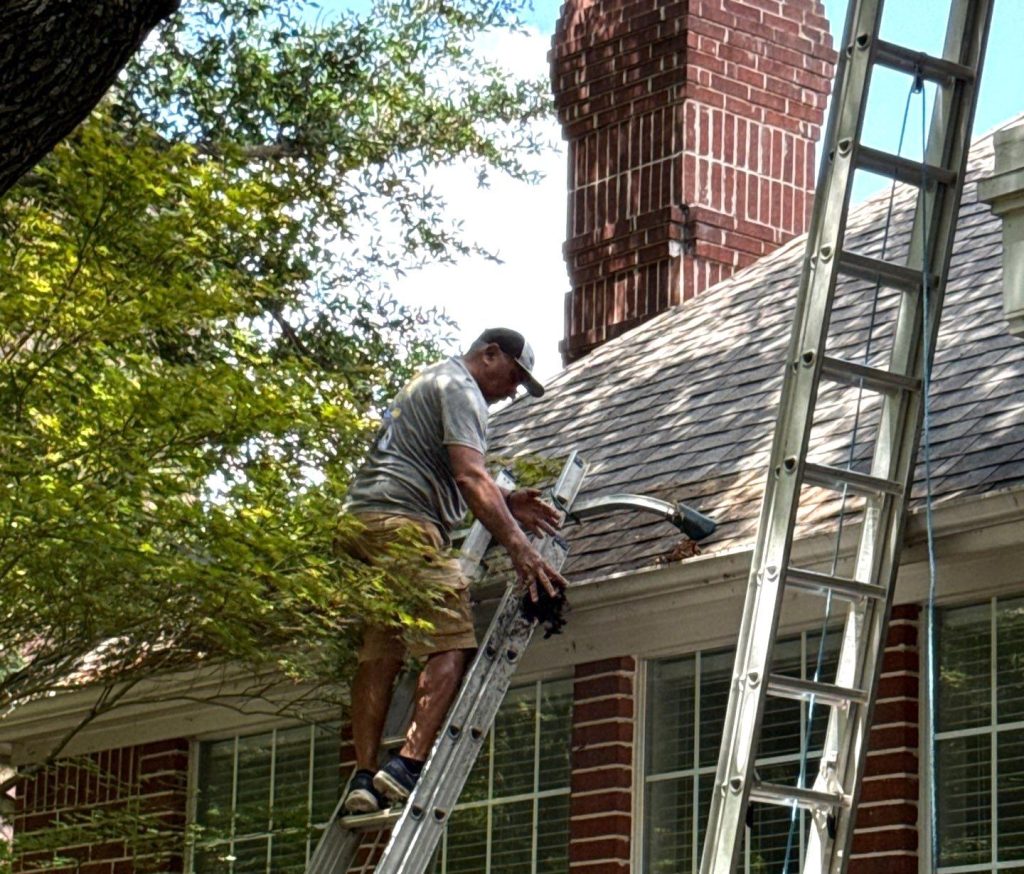 gutter cleaning