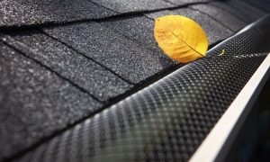 gutter screen