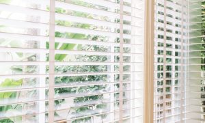 Custom Screens and Shades